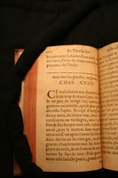 1591 - Pierre Chastaing et Benoît Rigaud - Trésor des bêtes chevalines - BM Bordeaux