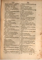 1645 - A. de Sommaville et A. Courbé - Trésor des deux langues espagnole et française (Seconde partie) - BSB Munich