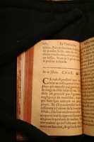 1591 - Pierre Chastaing et Benoît Rigaud - Trésor des bêtes chevalines - BM Bordeaux