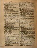 1625 - Hubert Antoine - Trésor des deux langues espagnole et française - Augsbourg