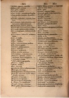 1645 - A. de Sommaville et A. Courbé - Trésor des deux langues espagnole et française (Seconde partie) - BSB Munich