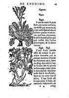 1559 veuve Balthazar Arnoullet et Antoine Vincent Trésor d’Evonime Philiatre_BM Lyon_Page_104.jpg