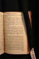 1591 - Pierre Chastaing et Benoît Rigaud - Trésor des bêtes chevalines - BM Bordeaux