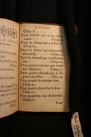 1591 - Pierre Chastaing et Benoît Rigaud - Trésor des bêtes chevalines - BM Bordeaux
