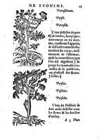 1559 veuve Balthazar Arnoullet et Antoine Vincent Trésor d’Evonime Philiatre_BM Lyon_Page_102.jpg