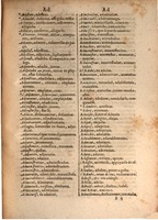 1645 - A. de Sommaville et A. Courbé - Trésor des deux langues espagnole et française (Seconde partie) - BSB Munich