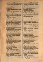 1607 - Marc Orry - Trésor des deux langues espagnole et française (Seconde partie) - BSB Munich