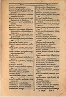 1607 - Marc Orry - Trésor des deux langues espagnole et française (Seconde partie) - BSB Munich