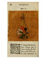1612 - Charles Sevestre - Toison d’or ou la fleur des trésors - Getty Research Institute