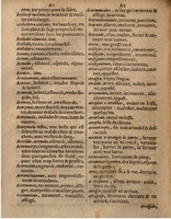 1625 - Hubert Antoine - Trésor des deux langues espagnole et française - Augsbourg