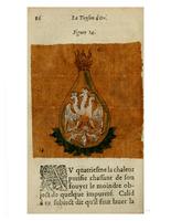 1612 - Charles Sevestre - Toison d’or ou la fleur des trésors - Getty Research Institute