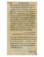 1612 - Charles Sevestre - Toison d’or ou la fleur des trésors - Getty Research Institute