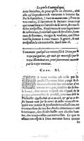 1602 - Veuve G. de la Noüe - Perle évangélique, Trésor incomparable de la sapience divine - UGent