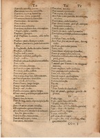 1645 - A. de Sommaville et A. Courbé - Trésor des deux langues espagnole et française (Seconde partie) - BSB Munich