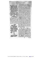 1555 Tresor de Evonime Philiatre Arnoullet 1_Page_077.jpg