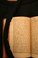 1591 - Pierre Chastaing et Benoît Rigaud - Trésor des bêtes chevalines - BM Bordeaux