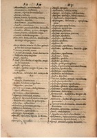 1645 - A. de Sommaville et A. Courbé - Trésor des deux langues espagnole et française (Seconde partie) - BSB Munich