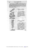 1555 Tresor de Evonime Philiatre Arnoullet 1_Page_066.jpg