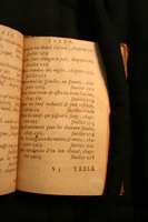 1591 - Pierre Chastaing et Benoît Rigaud - Trésor des bêtes chevalines - BM Bordeaux