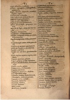 1645 - A. de Sommaville et A. Courbé - Trésor des deux langues espagnole et française (Seconde partie) - BSB Munich
