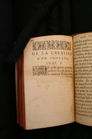 1591 - Pierre Chastaing et Benoît Rigaud - Trésor des bêtes chevalines - BM Bordeaux