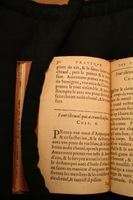 1591 - Pierre Chastaing et Benoît Rigaud - Trésor des bêtes chevalines - BM Bordeaux