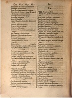 1645 - A. de Sommaville et A. Courbé - Trésor des deux langues espagnole et française (Seconde partie) - BSB Munich