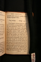 1591 - Pierre Chastaing et Benoît Rigaud - Trésor des bêtes chevalines - BM Bordeaux