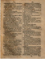 1625 - Hubert Antoine - Trésor des deux langues espagnole et française - Augsbourg