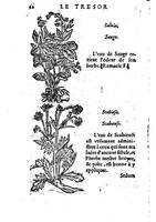 1559 veuve Balthazar Arnoullet et Antoine Vincent Trésor d’Evonime Philiatre_BM Lyon_Page_111.jpg
