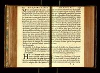 1571 - François Durelle et Benoît Rigaud - Trésor des Amadis - RAE Madrid