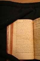 1591 - Pierre Chastaing et Benoît Rigaud - Trésor des bêtes chevalines - BM Bordeaux
