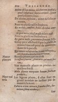 1612 - Dominicus Custos - Trésor des proverbes français  - Bibliopol-Olomuc