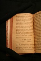 1591 - Pierre Chastaing et Benoît Rigaud - Trésor des bêtes chevalines - BM Bordeaux