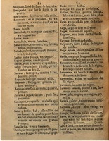 1625 - Hubert Antoine - Trésor des deux langues espagnole et française - Augsbourg