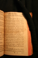 1591 - Pierre Chastaing et Benoît Rigaud - Trésor des bêtes chevalines - BM Bordeaux