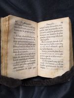 1609 - Théodore Reinsart - Trésor des fleurs du bien dire - Anvers Musée Plantin-Moretus