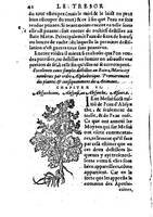 1559 veuve Balthazar Arnoullet et Antoine Vincent Trésor d’Evonime Philiatre_BM Lyon_Page_091.jpg