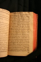 1591 - Pierre Chastaing et Benoît Rigaud - Trésor des bêtes chevalines - BM Bordeaux