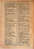 1607 - Marc Orry - Trésor des deux langues espagnole et française (Seconde partie) - BSB Munich