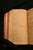 1591 - Pierre Chastaing et Benoît Rigaud - Trésor des bêtes chevalines - BM Bordeaux