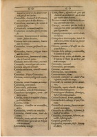 1607 - Marc Orry - Trésor des deux langues espagnole et française (Première partie) - BSB Munich