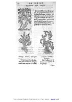 1555 Tresor de Evonime Philiatre Arnoullet 1_Page_070.jpg