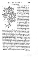 1557 Tresor de Evonime Philiatre Vincent_Page_094.jpg