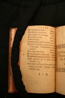 1591 - Pierre Chastaing et Benoît Rigaud - Trésor des bêtes chevalines - BM Bordeaux