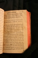 1591 - Pierre Chastaing et Benoît Rigaud - Trésor des bêtes chevalines - BM Bordeaux