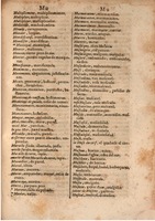 1645 - A. de Sommaville et A. Courbé - Trésor des deux langues espagnole et française (Seconde partie) - BSB Munich