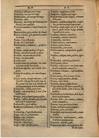 1607 - Marc Orry - Trésor des deux langues espagnole et française (Première partie) - BSB Munich