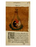 1612 - Charles Sevestre - Toison d’or ou la fleur des trésors - Getty Research Institute
