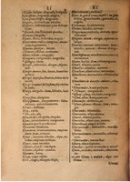 1645 - A. de Sommaville et A. Courbé - Trésor des deux langues espagnole et française (Seconde partie) - BSB Munich